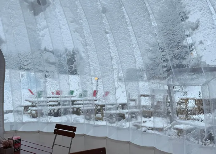 公寓 Golf & Carezza - Panoramici Direttamente Sulle Piste Da Sci *